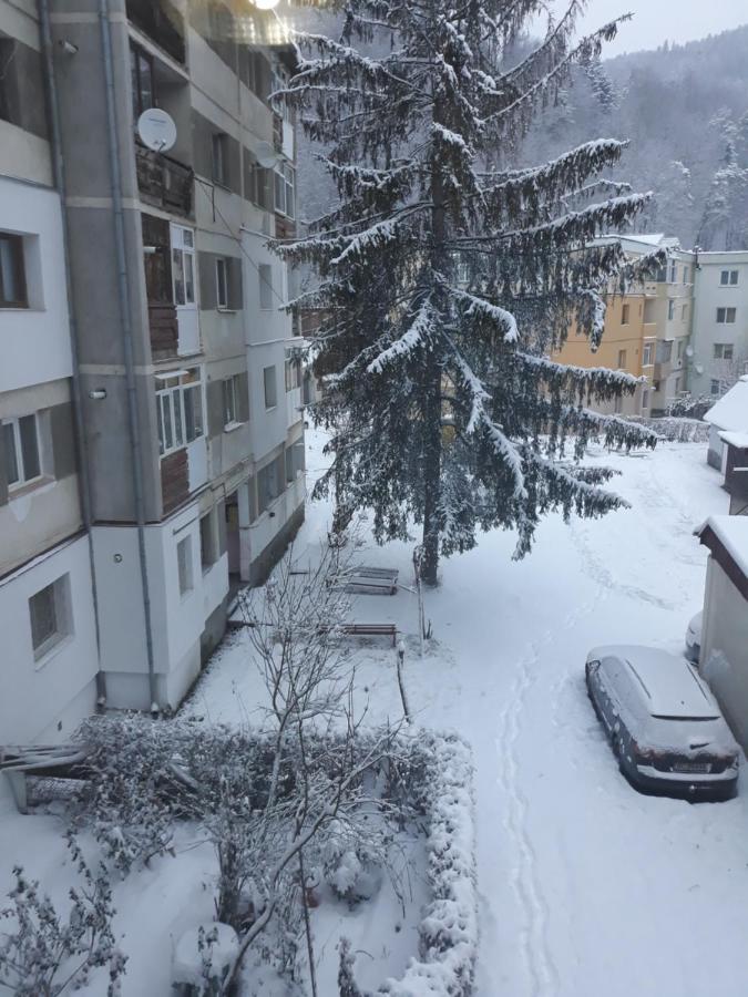 Apartament Aurora Slănic-Moldova Esterno foto