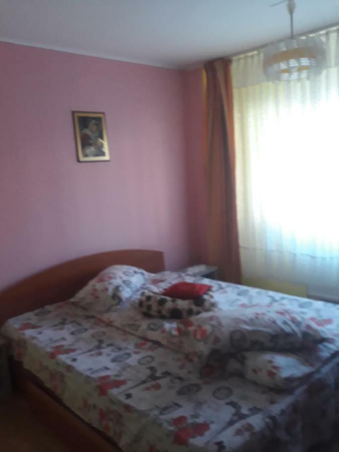 Apartament Aurora Slănic-Moldova Esterno foto